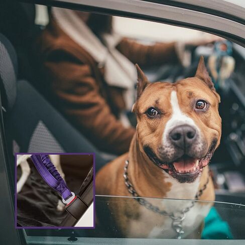 BUMBIN 6Ft Dog Leash Large Dogs, Bungee Dog Leash with 2 Handles, Heavy Duty Dog Leashes for Medium Small Dogs, No Pull Shock Absorbing Dog Leash with Car Seat Belt for Training, Brown in Kuwait