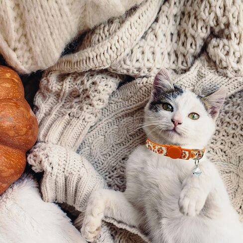 عيد الشكر الخريف عطلة القط طوق مع الجرس، 3 حزمة كيتي كيتن تركيا وطوق اليقطين للبنين الفتيات الذكور الإناث in Kuwait