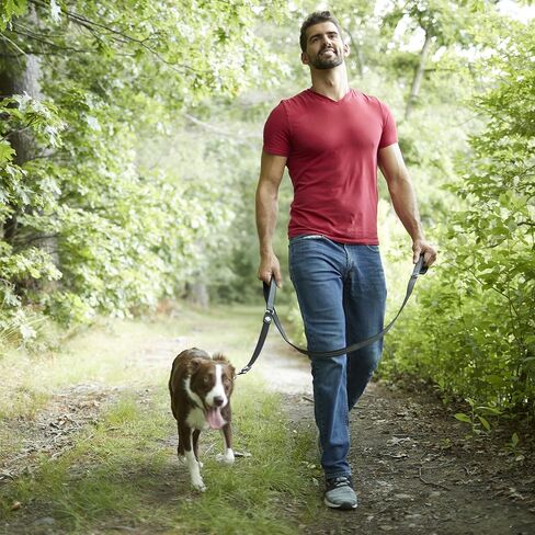 Franklin Pet Supply Nylon Dog Leash - Double Handle - Reflective - Dog Training - Comfort - Neoprene Handles - 6 Foot - Dog Walking in Saudi Arabia