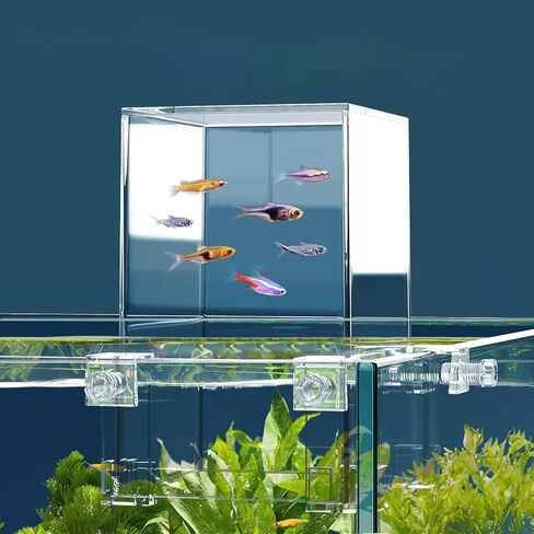 تريلف مجموعة كاملة من حوض السمك ذو الضغط السلبي، حوض سمك بيئي مع مناظر طبيعية وديكور لغرفة المعيشة الصغيرة او حوض اسماك بيتا لسطح المكتب in Kuwait