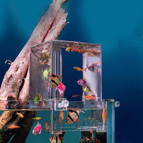 تريلف مجموعة كاملة من حوض السمك ذو الضغط السلبي، حوض سمك بيئي مع مناظر طبيعية وديكور لغرفة المعيشة الصغيرة او حوض اسماك بيتا لسطح المكتب in Kuwait