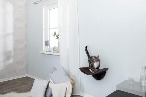 TRIXIE Lea Wall Mount Perch XL، رف للقطط، سرير للقطط، كرسي للقطط، أثاث للقطط، أبيض، 11 بوصة × 19 بوصة، (44579) in Saudi Arabia