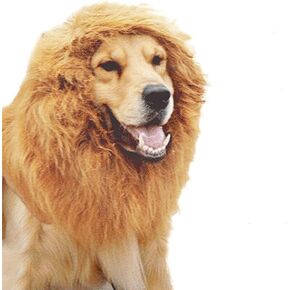 UEETEK Pet Dog Lion Mane Wig for Halloween Party Fancy Dress Up Costume in Kuwait