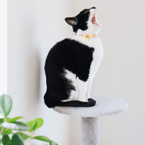 2 Pack Cotton Breakaway Cat Collars with Bell Flower Cute Pendants, Kitty Kitten Collars , Safety Adjustable Collar Set for Pets Decoration for Female Girl Cats Male Boy Cats (Pink Purple) in Kuwait