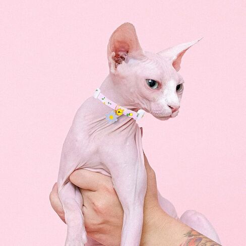 2 Pack Cotton Breakaway Cat Collars with Bell Flower Cute Pendants, Kitty Kitten Collars , Safety Adjustable Collar Set for Pets Decoration for Female Girl Cats Male Boy Cats (Pink Purple) in Kuwait