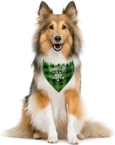 Promoted to Big Sister Dog Bandana, Dog Bandana, Green Buffalo Plaid Pet Scarf, Pet Dog Scarf Accessories, Pet Dog Gender Revealing Triangle Scarf, Dog Bandana for Small Medium Large Dogs (C28) in Saudi Arabia