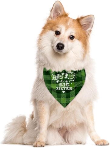 Promoted to Big Sister Dog Bandana, Dog Bandana, Green Buffalo Plaid Pet Scarf, Pet Dog Scarf Accessories, Pet Dog Gender Revealing Triangle Scarf, Dog Bandana for Small Medium Large Dogs (C28) in Saudi Arabia