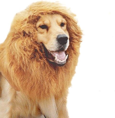 UEETEK Pet Dog Lion Mane Wig for Halloween Party Fancy Dress Up Costume in Kuwait