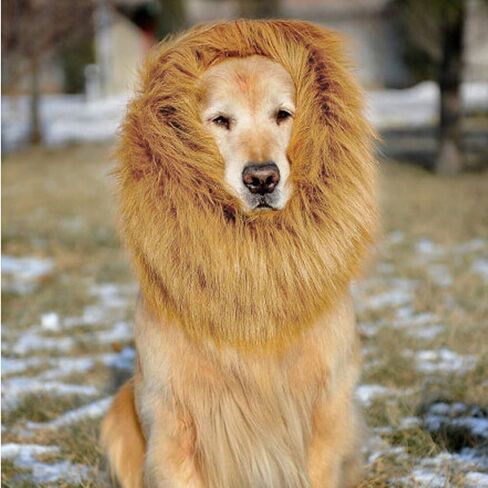 UEETEK Pet Dog Lion Mane Wig for Halloween Party Fancy Dress Up Costume in Kuwait