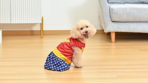 زي الكلبة ووندر وومان من دي سي كوميكس مقاس كبير | أفضل أزياء DC Comics Wonder Woman Halloween للكلاب الكبيرة | زي ووندر وومان الرسمي للكلاب الأليفة باللون الأحمر للهالوين in Saudi Arabia