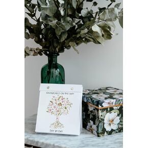 GRANDCHILD ON THE WAY - Day By Day Grandparent Calendar | Grandparent gift, Pregnancy calendar, Pregnancy Journal, Pregnancy Gift, Keepsake Journal - in Kuwait