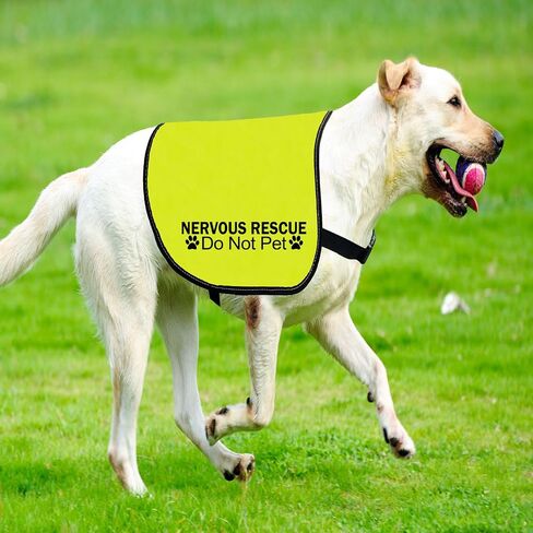 CENWA Nervous Ask to Pet/Do Not Approach Dog Jacket سترة الإنقاذ العصبي لا الحيوانات الأليفة الفضاء سترة الكلب سترة تحذير شعار المشي الكلب (نهج عصبي L) in Kuwait