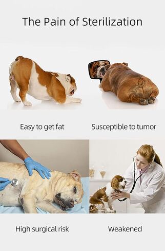 لعبة حدب الكلب، لعبة قطيفة نائمة للكلاب، لعبة استروس للحيوانات الأليفة، لعبة محاكاة للكلاب الذكور (بني) in Kuwait