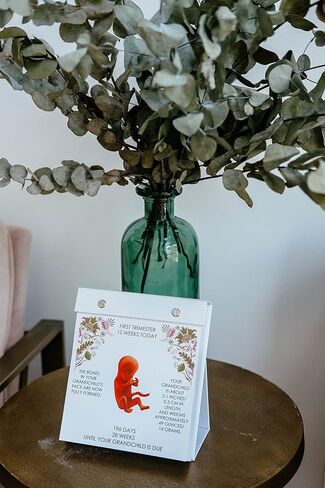 GRANDCHILD ON THE WAY - Day By Day Grandparent Calendar | Grandparent gift, Pregnancy calendar, Pregnancy Journal, Pregnancy Gift, Keepsake Journal - in Kuwait