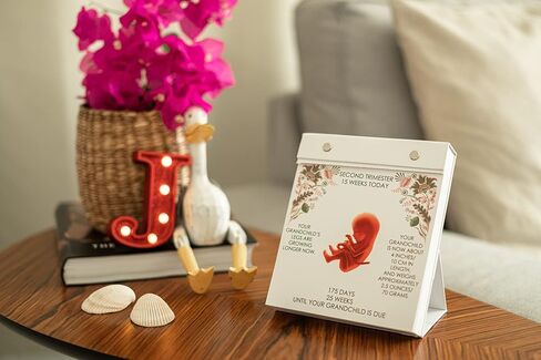 GRANDCHILD ON THE WAY - Day By Day Grandparent Calendar | Grandparent gift, Pregnancy calendar, Pregnancy Journal, Pregnancy Gift, Keepsake Journal - in Kuwait