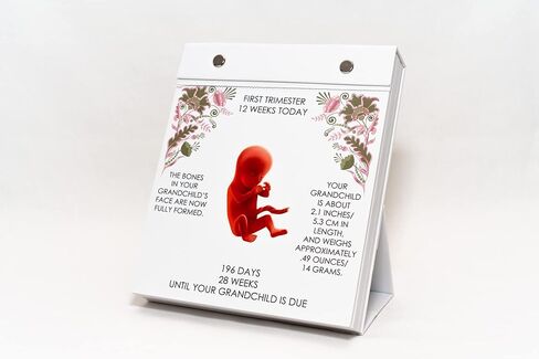 GRANDCHILD ON THE WAY - Day By Day Grandparent Calendar | Grandparent gift, Pregnancy calendar, Pregnancy Journal, Pregnancy Gift, Keepsake Journal - in Kuwait