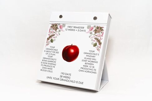 GRANDCHILD ON THE WAY - Day By Day Grandparent Calendar | Grandparent gift, Pregnancy calendar, Pregnancy Journal, Pregnancy Gift, Keepsake Journal - in Kuwait