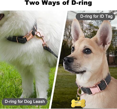 مجموعة طوق ومقود للكلاب، طوق قطني متين بإبزيم معدني ومقود متعدد الوظائف (6.6 قدم) قابل للتعديل 3 أطوال للكلاب الصغيرة والمتوسطة والكبيرة in Kuwait