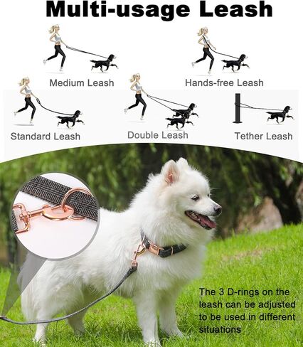 مجموعة طوق ومقود للكلاب، طوق قطني متين بإبزيم معدني ومقود متعدد الوظائف (6.6 قدم) قابل للتعديل 3 أطوال للكلاب الصغيرة والمتوسطة والكبيرة in Kuwait