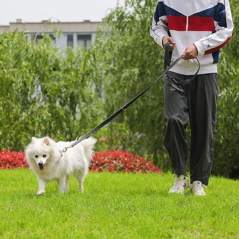 مجموعة طوق ومقود للكلاب، طوق قطني متين بإبزيم معدني ومقود متعدد الوظائف (6.6 قدم) قابل للتعديل 3 أطوال للكلاب الصغيرة والمتوسطة والكبيرة in Kuwait