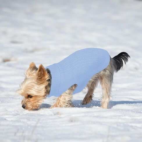 DENTRUN الكلاب الصغيرة سترة، فتاة صبي جرو الطقس البارد الياقة المدورة تريكو كلاسيكي شتاء دافئ ملابس الكلب، البلوز الكلب سترة سترة الكلب زي وتتسابق لDachshund، يوركي، تشيهواهوا، M in Kuwait