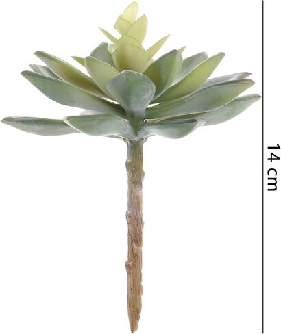 BCP حزمة من 2 قطع حقيقية لطيفة المنزل الخضراء حديقة الثلج الاصطناعي النباتات العصارية غير بوعاء in Kuwait