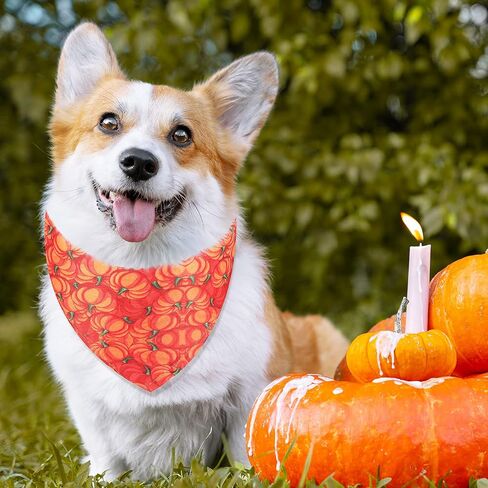 12 Pieces Halloween Dogs Bandanas Adjustable Triangle Bandana with Bat Ghost Pumpkin Patterns for Halloween Puppy Cat Costume PET Apparel Accessories (Pumpkin and Ghost) in Saudi Arabia