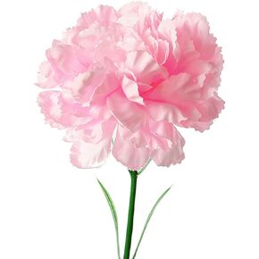 Rikyo 10 Bunches Bouquet of Artificial Silk Flower Carnations,5 Colors Single Flower Head Bulk Bouquet and Green Leaf for Party,Decoration Bridal Wedding Festival Decor-20inch (Multicolor)