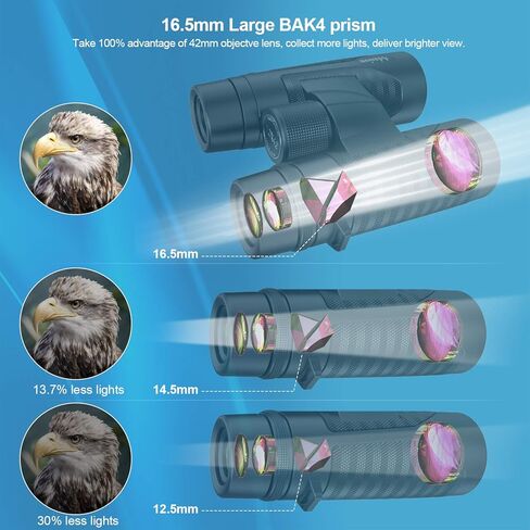 Adasion Adult Binoculars, 12 x 42, with Mobile Phone Adapter, 18 mm Large Viewing Lens and Super Bright, Waterproof Binoculars for Bird Watching, Hunting, Sports, with Tripod and Smartphone Adapter in Kuwait