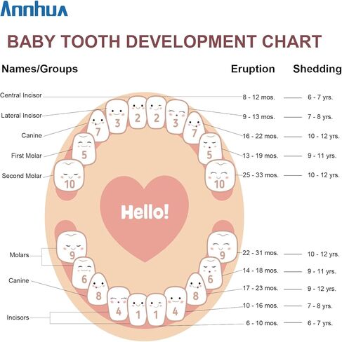 Annhua Tooth Fairy Box Tooth Keepsake Holder with Magnetic Closure, Wooden Baby Tooth Box Storing Shed Milk Teeth, Fetal Hair and Umbilical Cord for Baby and Kids in Saudi Arabia