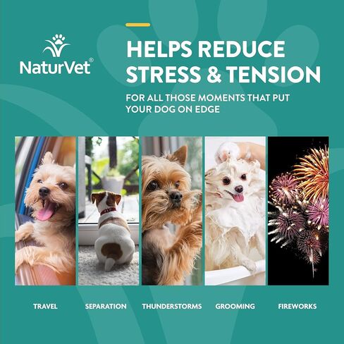 NaturVet - قطرات مهدئة للحظات هادئة من القنب - 118 مل - معززة بزيت بذور القنب والتريبتوفان والزنجبيل - تساعد على تقليل التوتر وتعزيز الاسترخاء - للكلاب والقطط in Kuwait