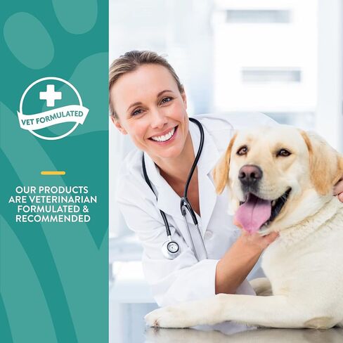 NaturVet - قطرات مهدئة للحظات هادئة من القنب - 118 مل - معززة بزيت بذور القنب والتريبتوفان والزنجبيل - تساعد على تقليل التوتر وتعزيز الاسترخاء - للكلاب والقطط in Kuwait