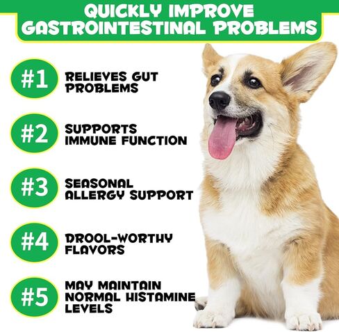 Dog Probiotics Chews, 120 Count Soft Probiotics Chews for Dogs, Support Immune, Healthier Skin & Coat, Allergy Itch Relief, Reduce Diarrhea, Improves Digestive Health, Relieves Gut, Boosts Energy in Kuwait