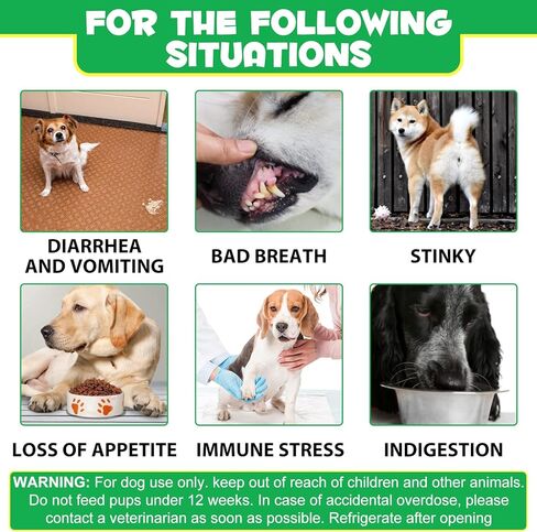 Dog Probiotics Chews, 120 Count Soft Probiotics Chews for Dogs, Support Immune, Healthier Skin & Coat, Allergy Itch Relief, Reduce Diarrhea, Improves Digestive Health, Relieves Gut, Boosts Energy in Kuwait