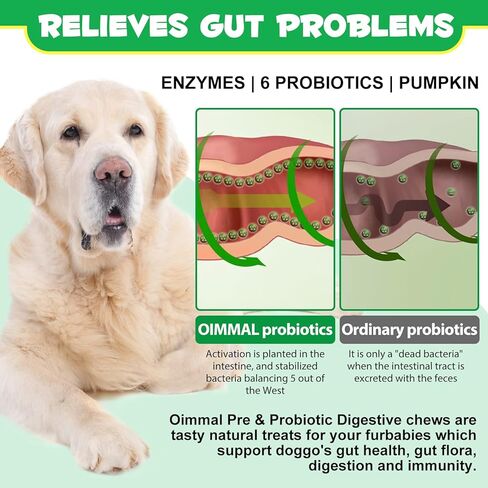 Dog Probiotics Chews, 120 Count Soft Probiotics Chews for Dogs, Support Immune, Healthier Skin & Coat, Allergy Itch Relief, Reduce Diarrhea, Improves Digestive Health, Relieves Gut, Boosts Energy in Kuwait