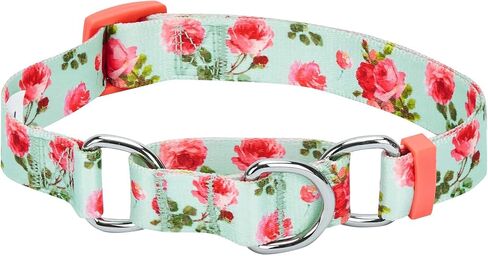 Blueberry Pet Spring Scent Inspired Rose Print Martingale Safety Training Dog Collar, Turquoise, Medium, Heavy Duty Adjustable Collars for Dogs in Saudi Arabia