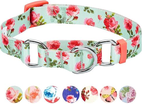 Blueberry Pet Spring Scent Inspired Rose Print Martingale Safety Training Dog Collar, Turquoise, Medium, Heavy Duty Adjustable Collars for Dogs in Saudi Arabia
