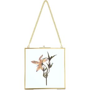 JUXYES Square Brass Wall Hanging Photo Frame, Glass Hanging Picture Artwork Display Frame, Double Glass Floating Frame Style Gallery Wall Frame for Picture, Poster, etc (16cm x 16cm, Black)