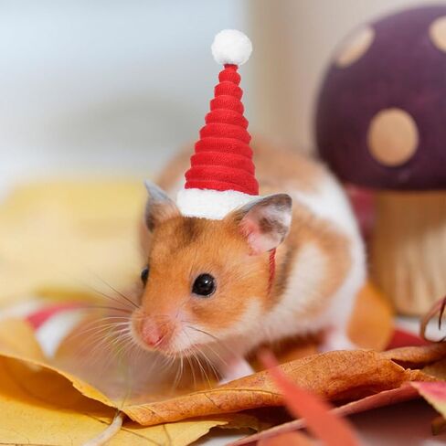 POPETPOP Guinea Pig Costume - Cat Santa Hat Pet Christmas Hat Santa Claus Cap Head Accessories for Rabbit Hamster Guinea Pig Rats Kitten and Small Animals in Saudi Arabia