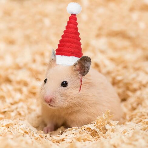 POPETPOP Guinea Pig Costume - Cat Santa Hat Pet Christmas Hat Santa Claus Cap Head Accessories for Rabbit Hamster Guinea Pig Rats Kitten and Small Animals in Saudi Arabia
