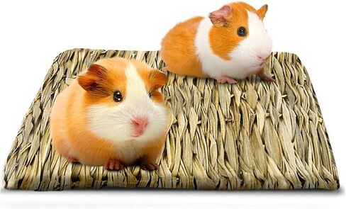 ميريك بساط من الاعشاب البحرية للخنزير الغيني، يحمي المخالب من القفص السلكي، يعالج القرحات، سرير لعب منسوج يدويا، لعبة مضغ صالحة للاكل، يحفظ في القفص او على الارض in Kuwait