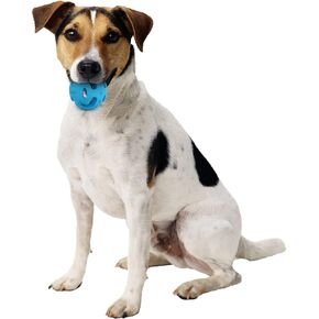 ALL FOR PAWS Pet HOL-ee Roller Dog Toy Puzzle Ball, Natural Rubber - Lightweight, Ideal Bounce Balls for Dogs -Stretchy Rubber Dog Ball Toy for Large Dogs in Saudi Arabia