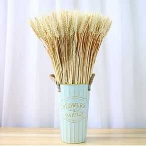 100pcs Artificial Flower Artificial Plant Large Wheat Dried Flowers Natural Dried Wheat Sheaves, Dried Wheat Stalks Bunches, Real Wheat for Wreath Supplies DIY Home Table Wedding Xmas Decor (Natural) in Kuwait