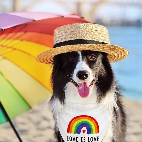 Whaline Rainbow Dog Bandanas Love is Love Pride Triangle Bibs Rainbow Dog Scarf Reversible Double-Sided Pet Neckerchief for Small Medium Large Pet Cat Dog Pride Day Costume Accessories, 4 Pack in Saudi Arabia