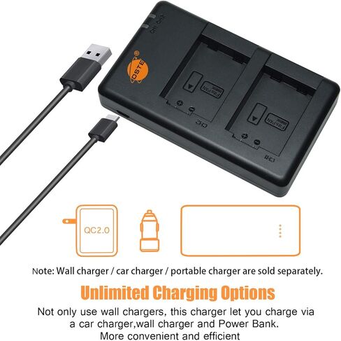 بديل DSTE لشاحن البطاريات المزدوج السريع مع كابل USB صغير متوافق مع بطارية باناسونيك DMW-BMB9 BMB9E in Kuwait