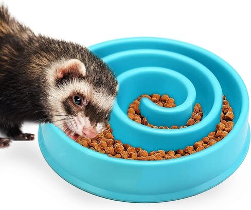 SunGrow Water Feeder with Splash Guard, Stop Ferrets from Splashing Drinking Water, Prevent Baby Chick from Drowning in Saudi Arabia