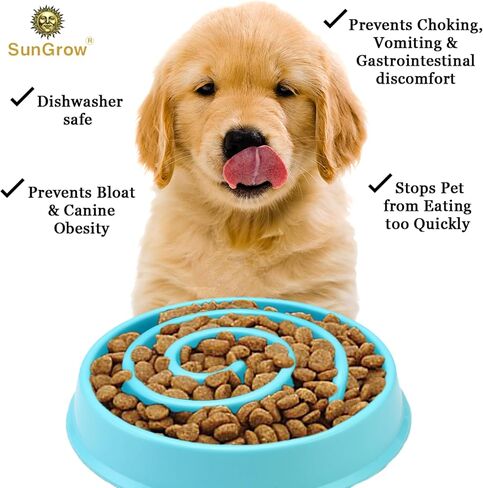 SunGrow Water Feeder with Splash Guard, Stop Ferrets from Splashing Drinking Water, Prevent Baby Chick from Drowning in Saudi Arabia