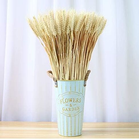 100pcs Artificial Flower Artificial Plant Large Wheat Dried Flowers Natural Dried Wheat Sheaves, Dried Wheat Stalks Bunches, Real Wheat for Wreath Supplies DIY Home Table Wedding Xmas Decor (Natural) in Kuwait