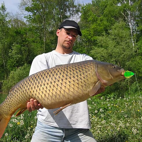 OFYDNR 5 Pcs Topwater Frog Lures Set, Frog Lure Ray Frog Topwater Fishing Crankbait Lures Fishing Lure Floating Frog Bait with Weedless Hooks in Kuwait