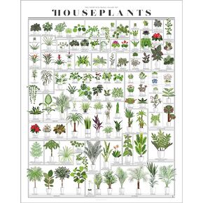 Pop Chart | American Flowers | 16" x 20" Art Poster | Boho Wall Decor | Botanical Wall Art with Charted Wildflowers | Made in the USA